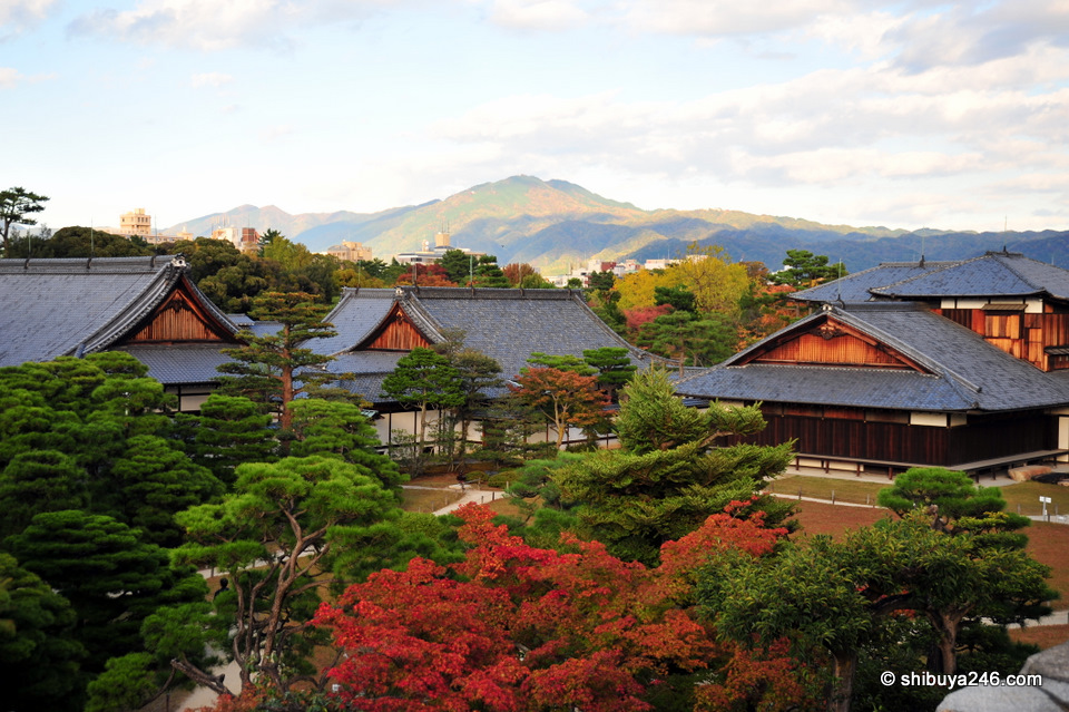 Looking out over the Nijojo buildings from a high vantage point