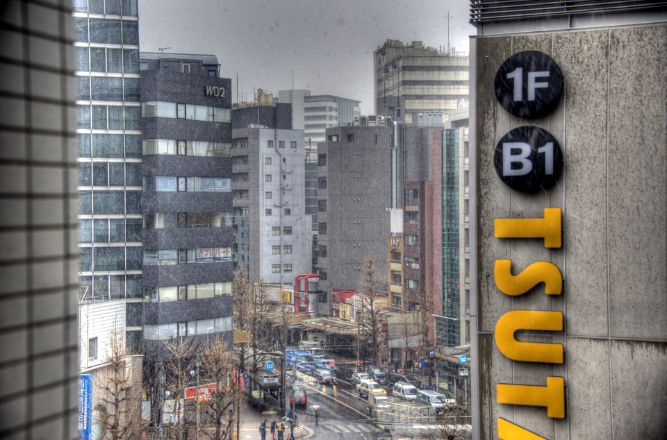 Tokyo Snow