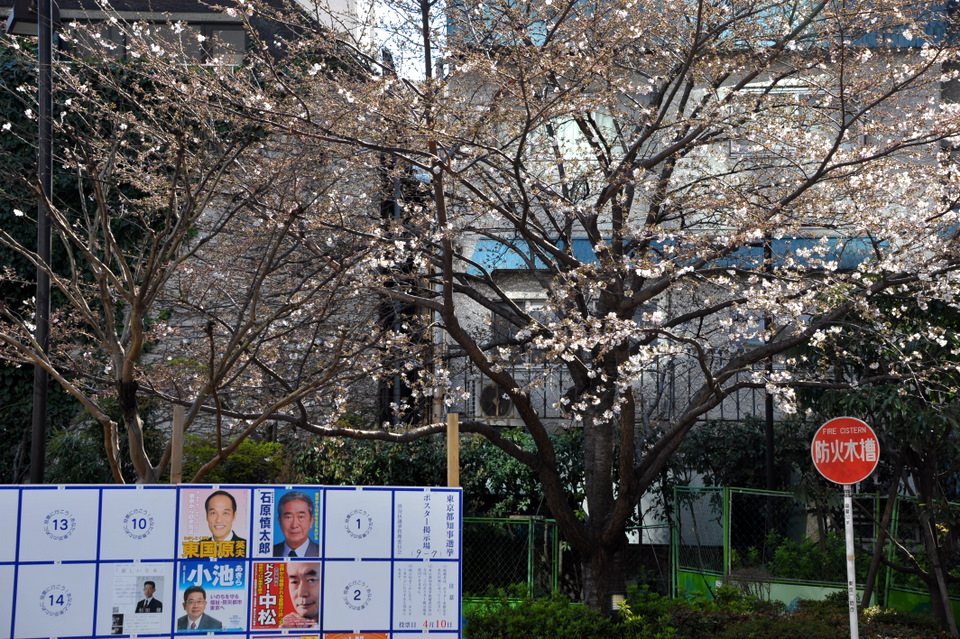Tokyo Elections