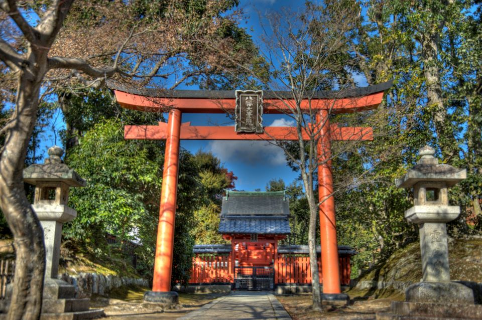 Temple Colors