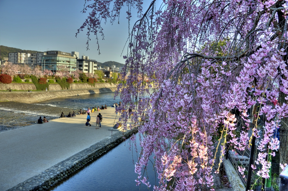 Kamogawa