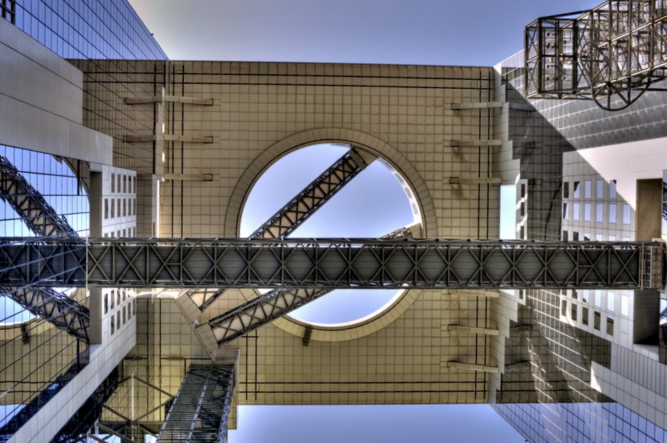 Looking from the ground up