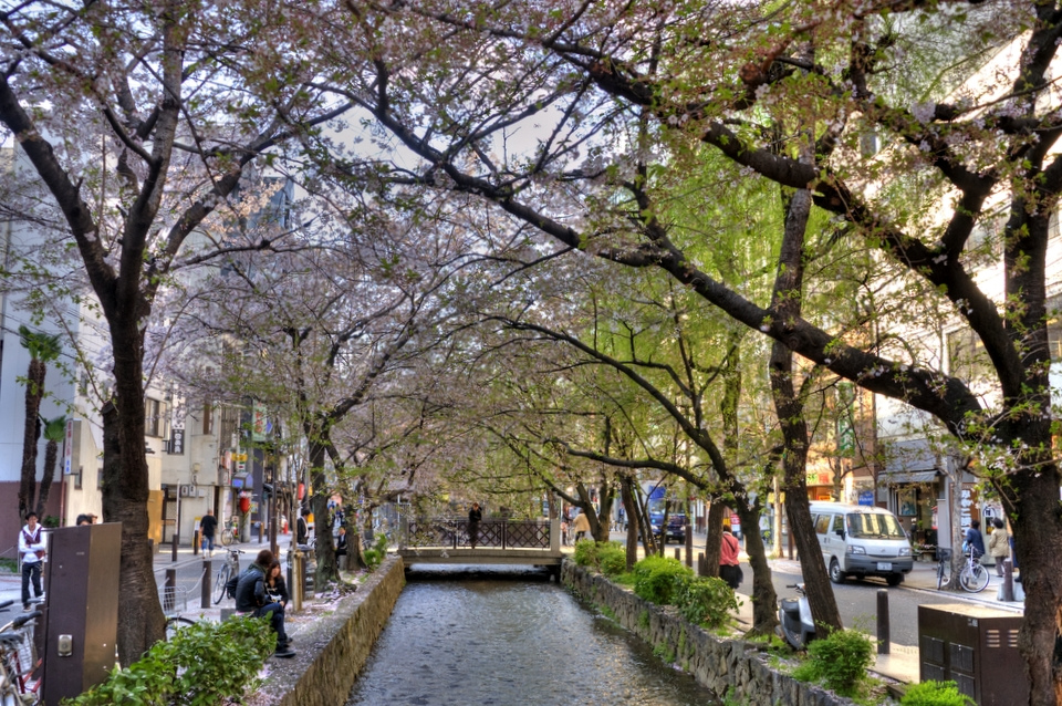 One of the well known, distinctive streets in Kyoto city