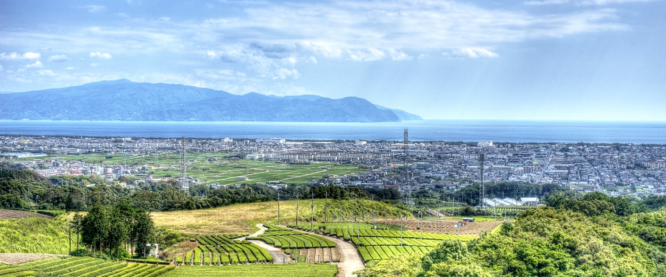 View from Shizuoka