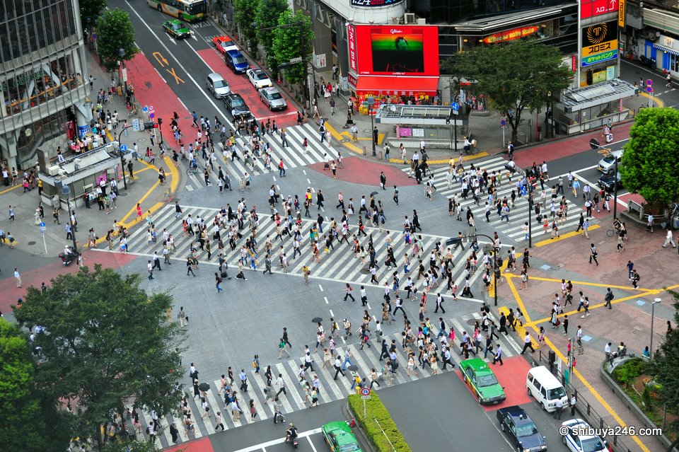 Shibuya Crossing