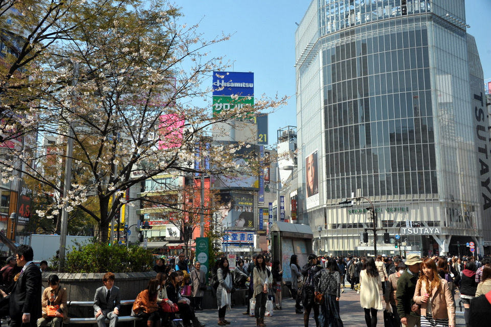 Hachiko Shibuya