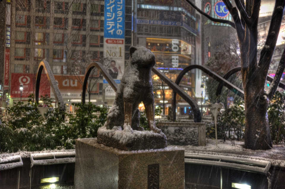 Visiting Shibuya: Tokyoite Favourite!