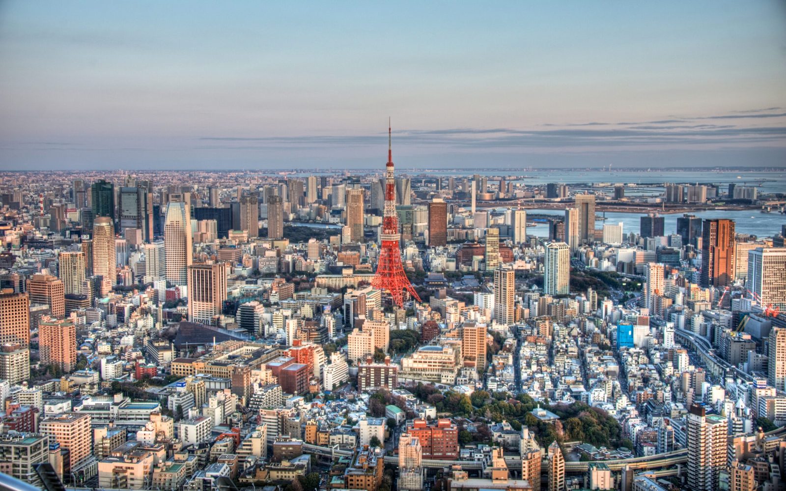 Tokyo View