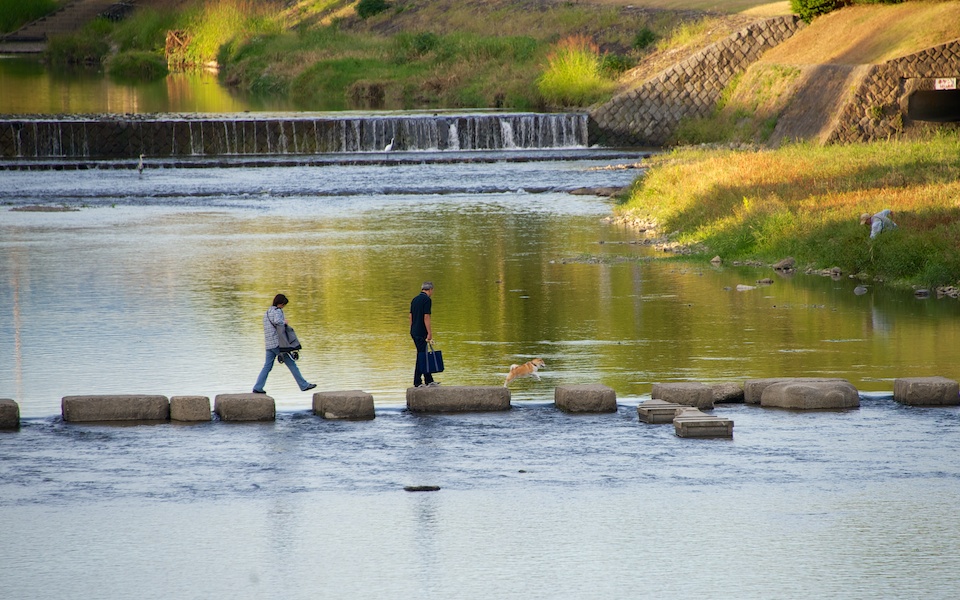 Kamogawa River Jumping