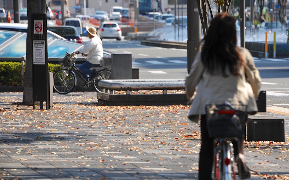 A perfect day for biking with leaves rustling around