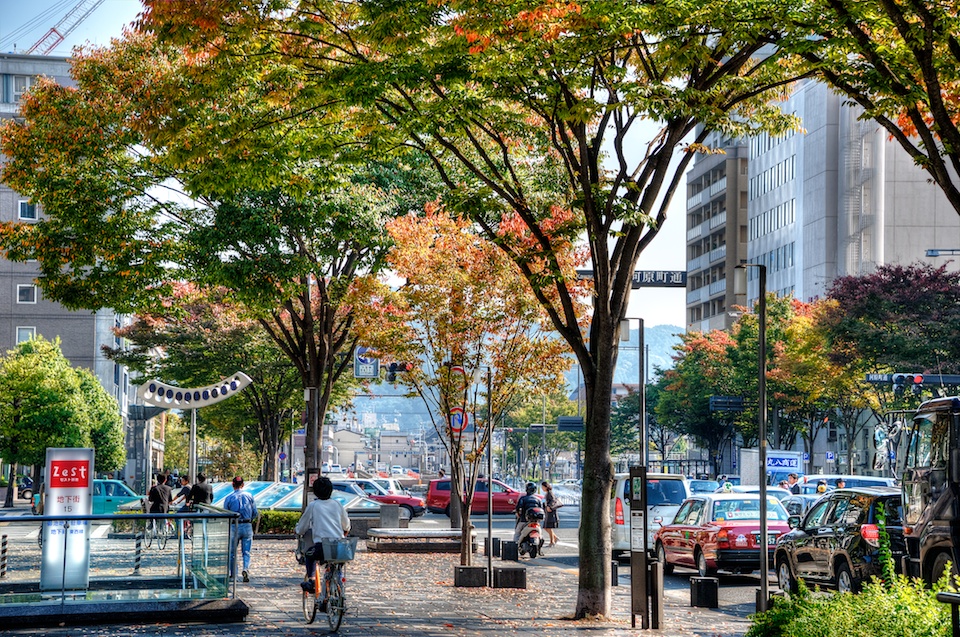 The trees are just starting to change color at the tops