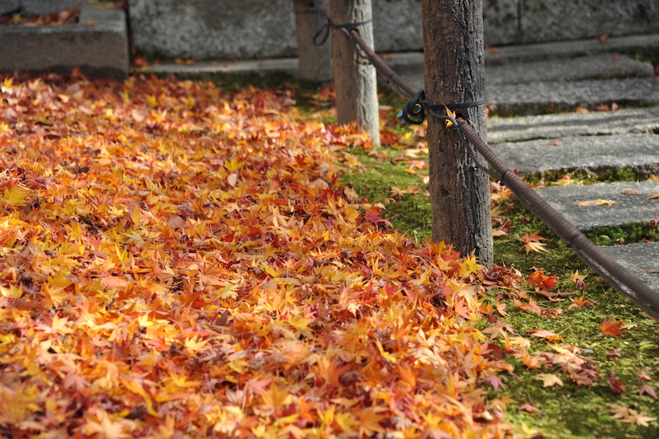 Eikando Autumn