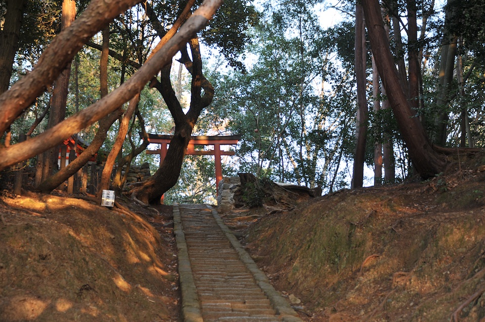 Climbing up the hill