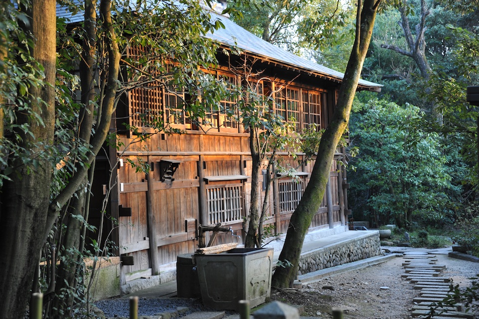 Cafe in the woods
