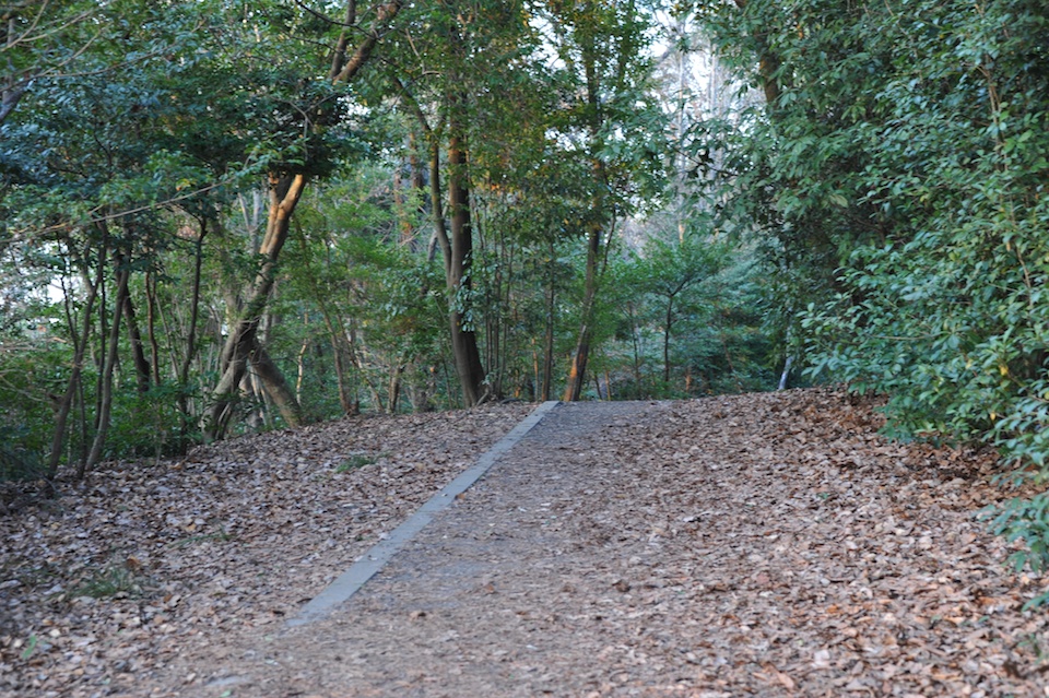 Walking the trail