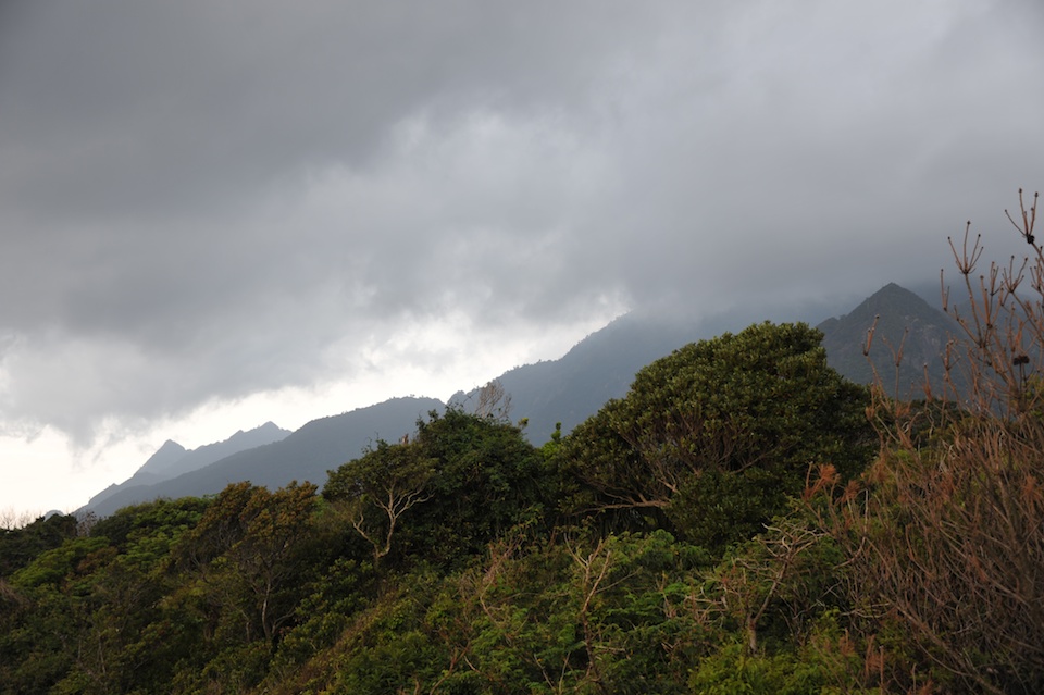 Moss Ocean House, Yakushima