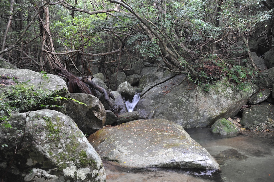 The rock sizes and very green scenery was a stark contrast