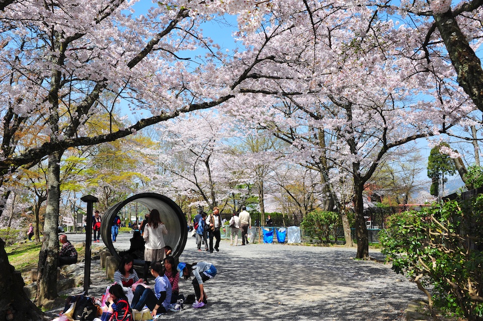 Playing in the park