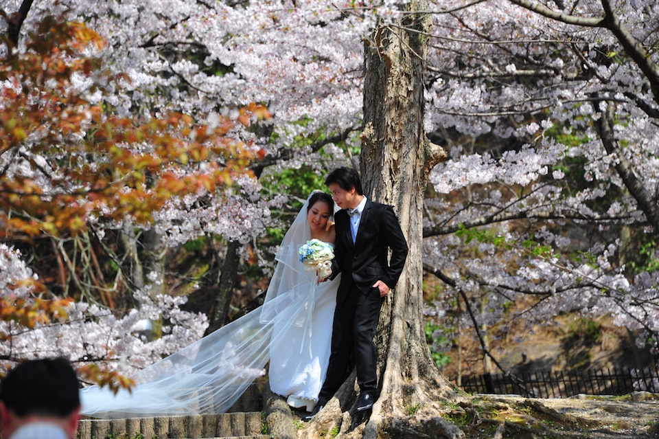 Sakura wedding