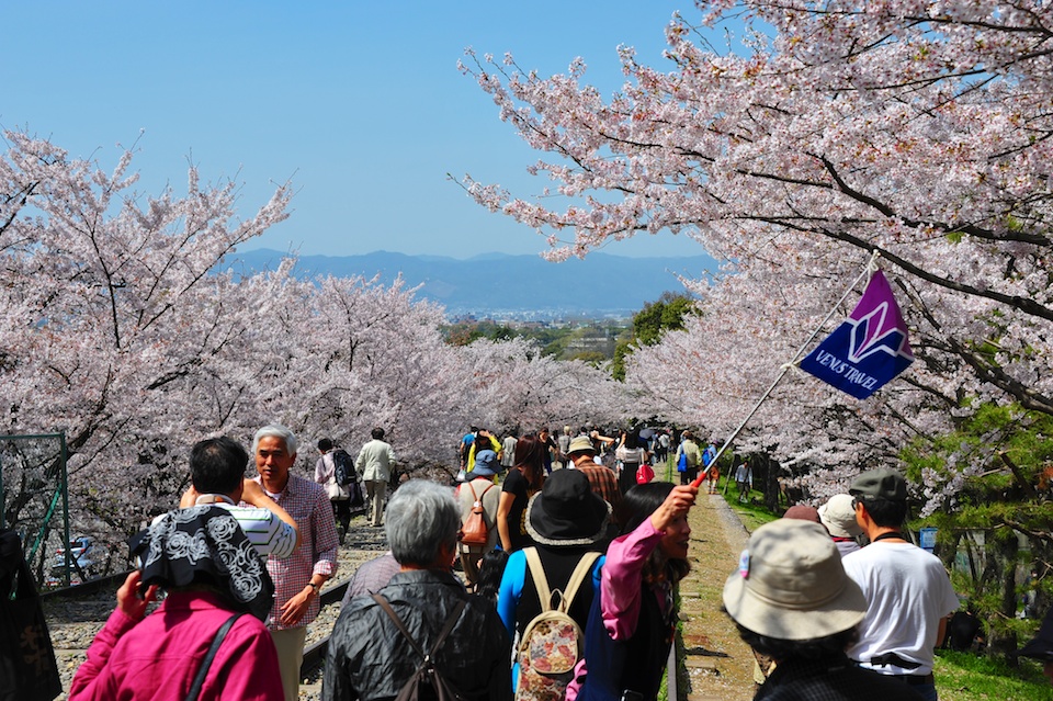 Wouldn't be Japan without the tour guides