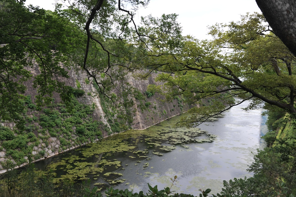 The moat looks very green and cool