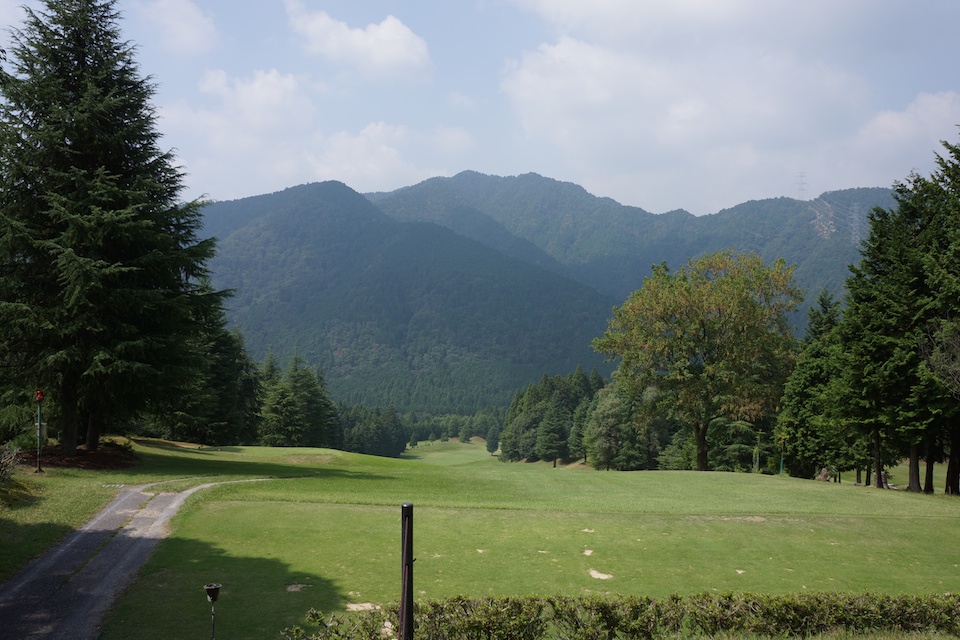 Plenty of greenery to aim at