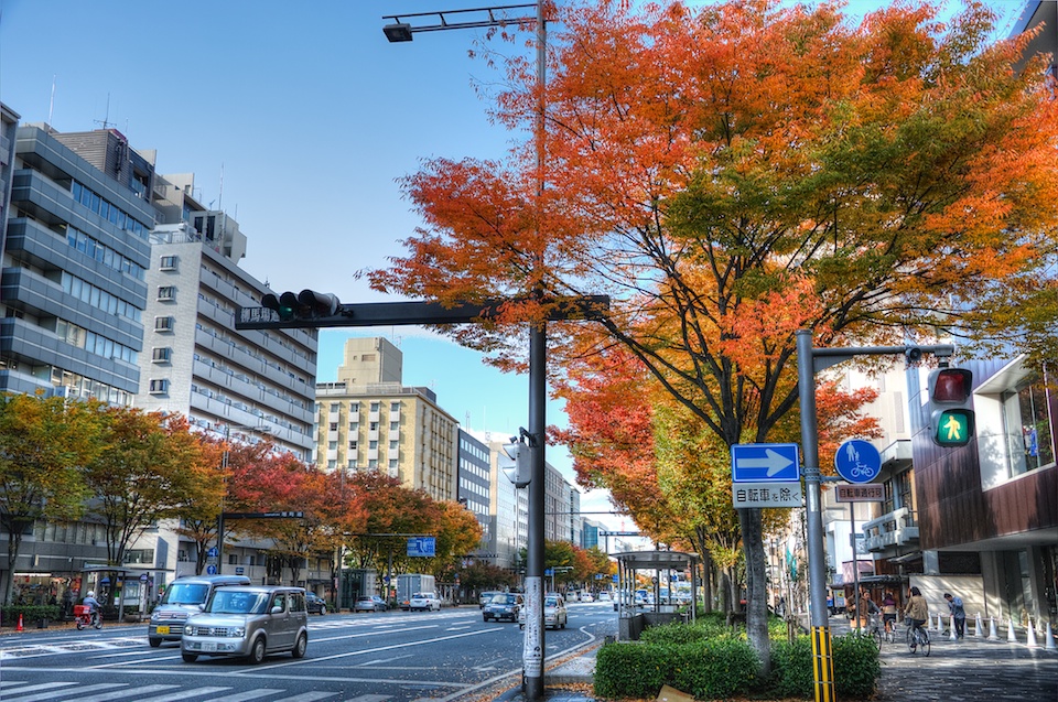 Autumn Kyoto