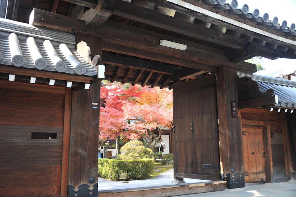 Autumn colors contrast well with the woodwork