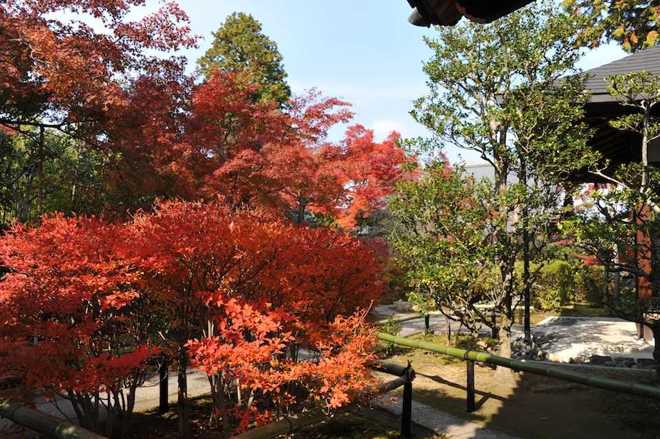 Autumn views