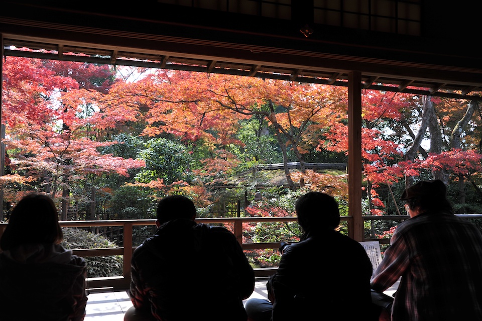 People sitting viewing the gardens
