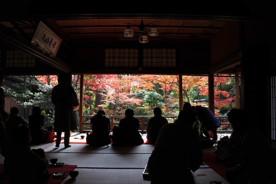 Lots of people enjoying the view with a cup of green tea