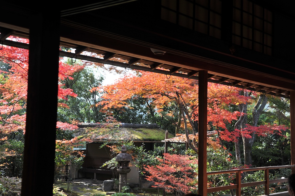 The wood of the temples is wonderful