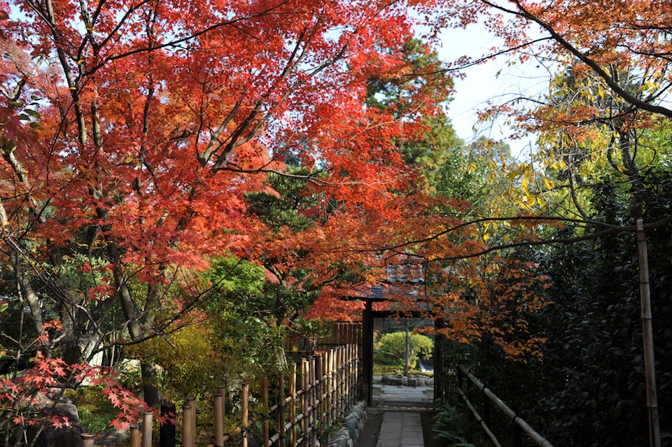 A walk in the gardens