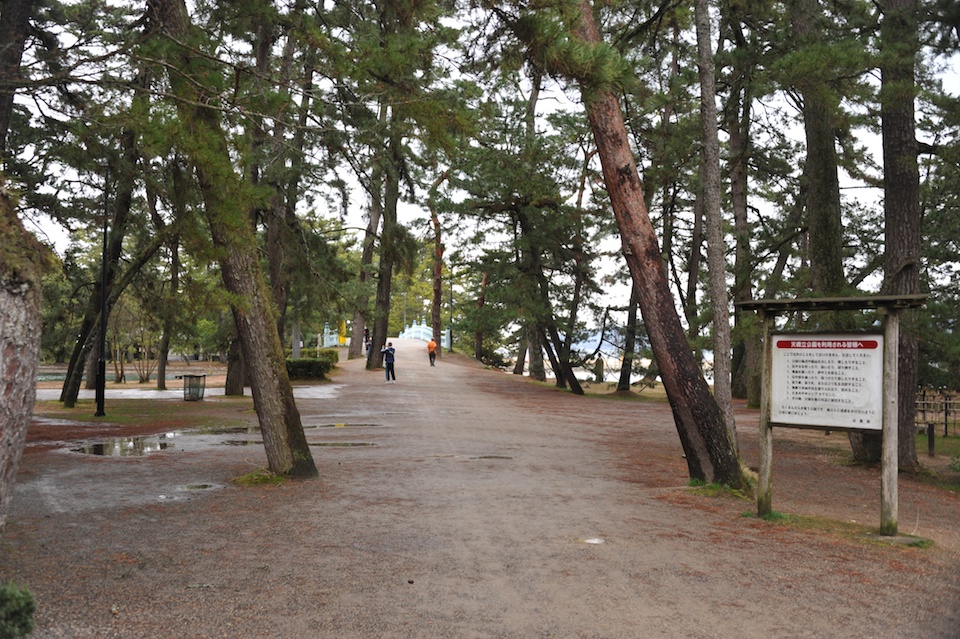 Walking through the pathways