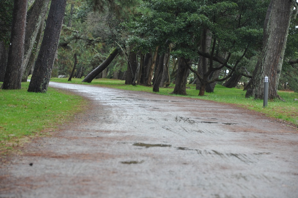 Pathways were very relaxing to walk