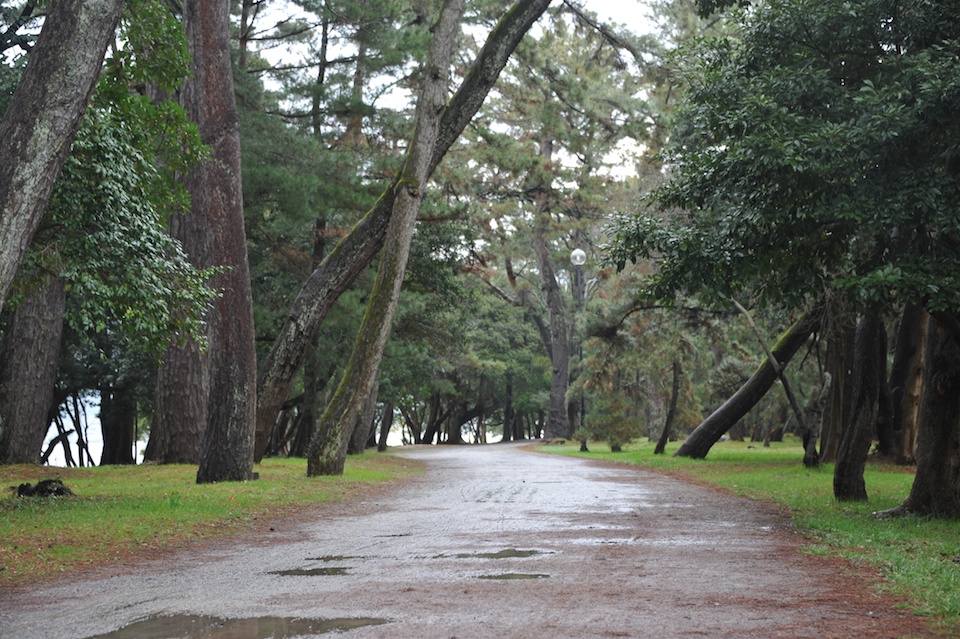 Hitting the trail