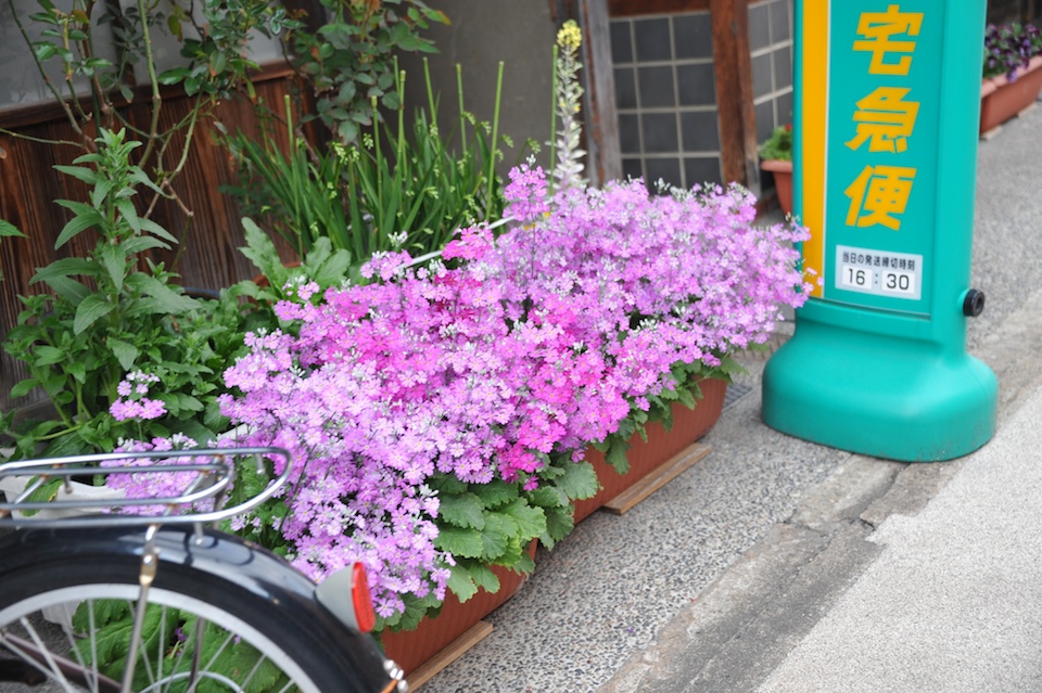 Spring colors