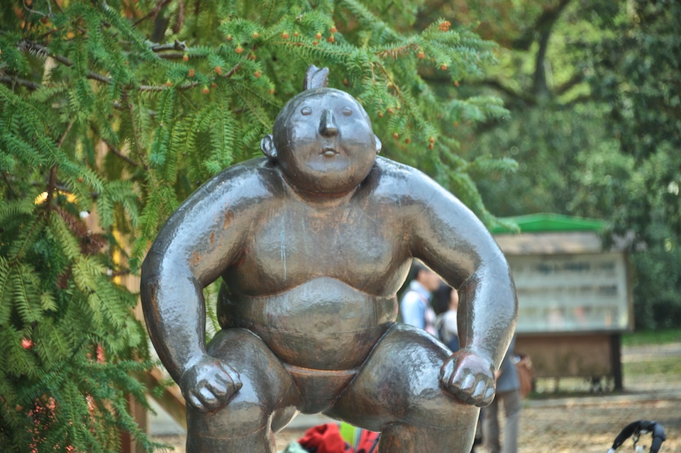 Kyoto Botanic Gardens