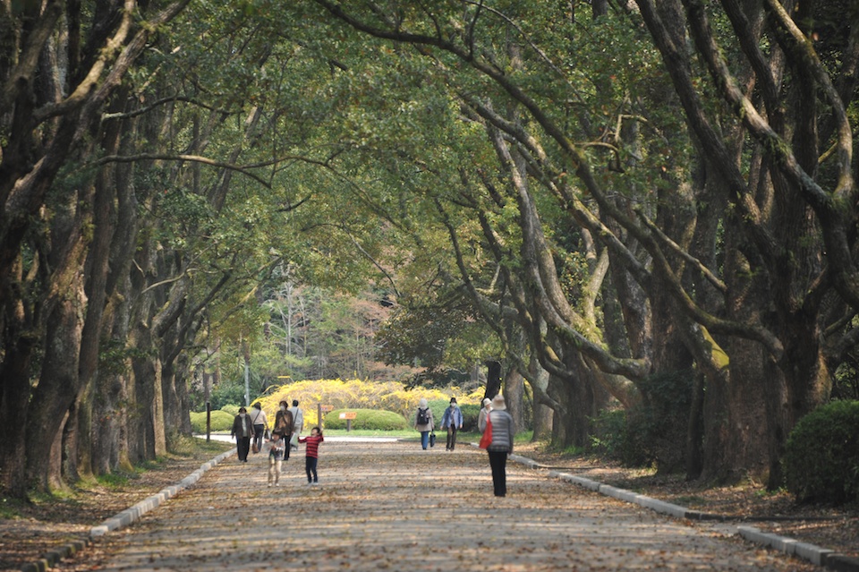 Kyoto Botanic Gardens