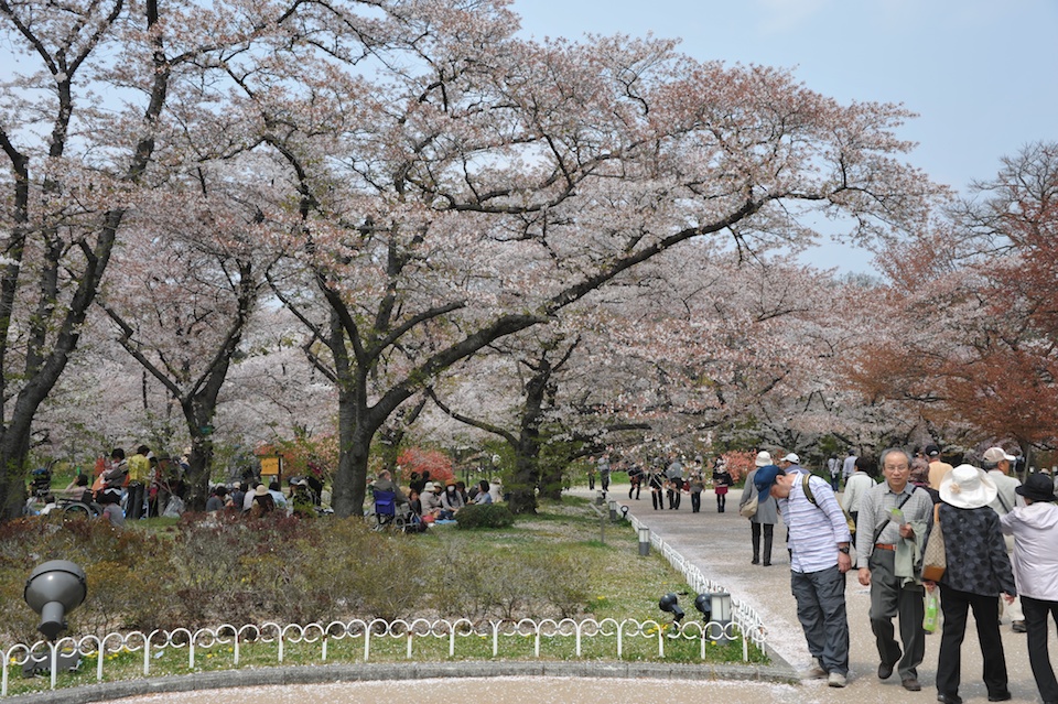 Kyoto Botanic Gardens