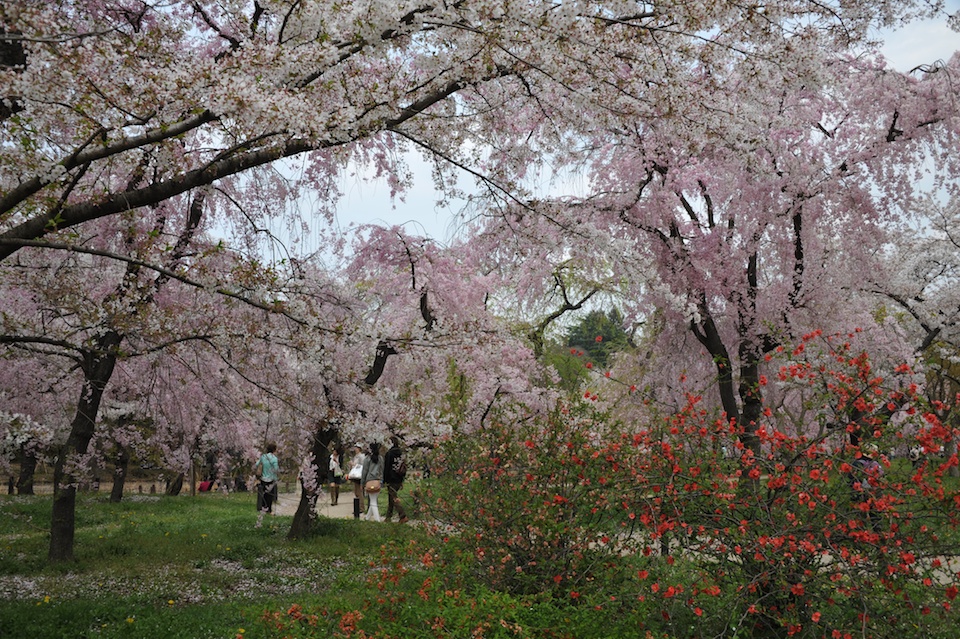 Kyoto Botanic Gardens