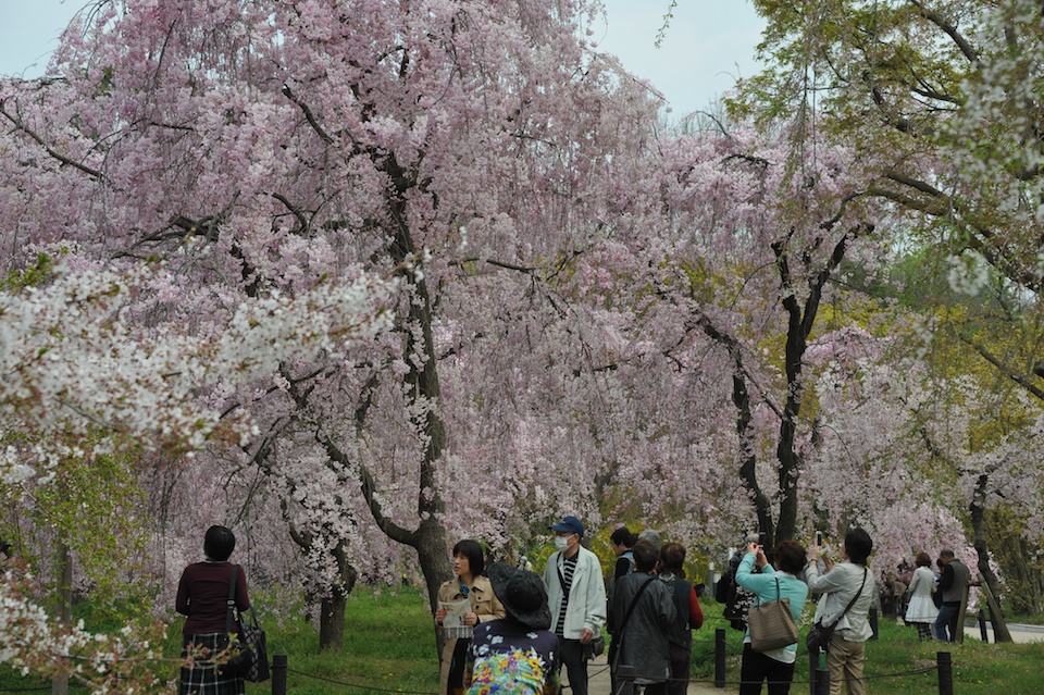 Kyoto Botanic Gardens