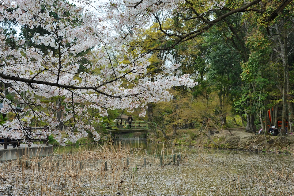 Kyoto Botanic Gardens