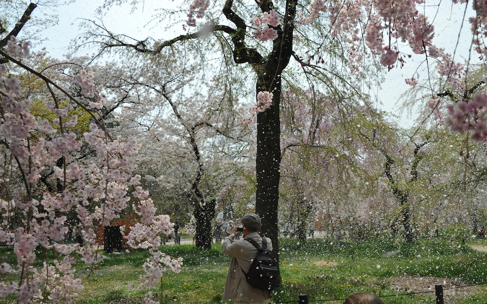 Kyoto Botanic Gardens