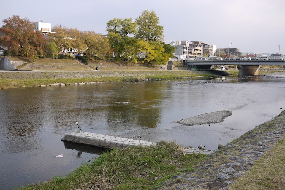 By the river