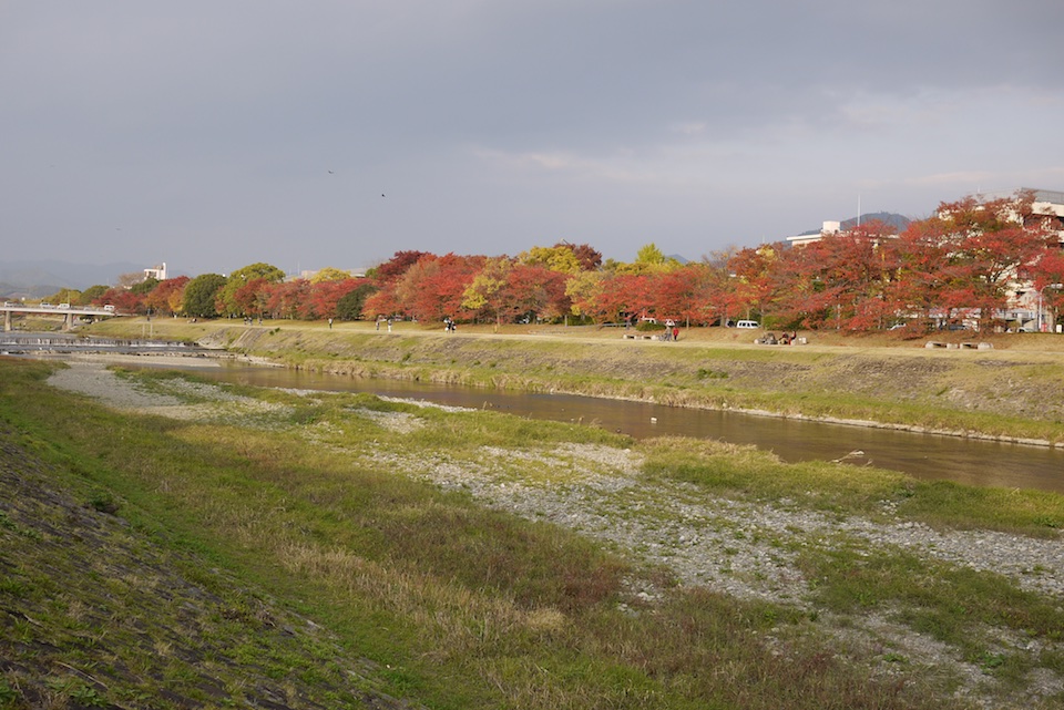 Looking towards the other bank