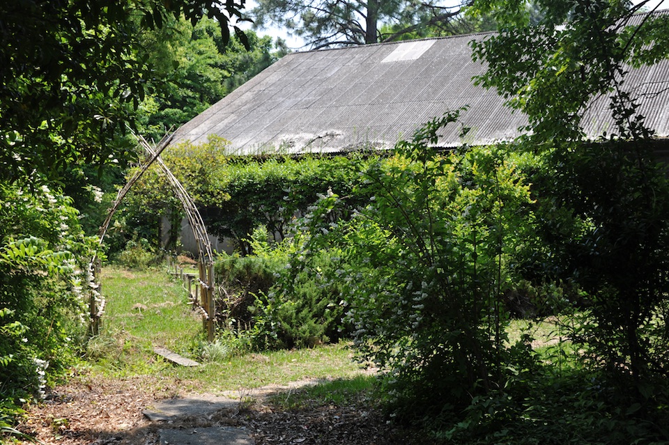 DSC_7873