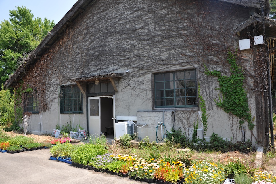 Japan Gardens